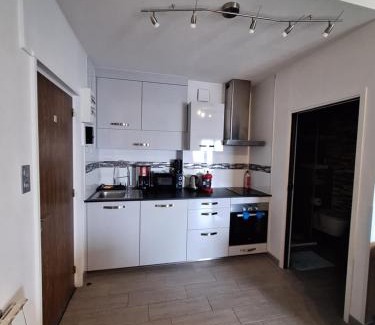 Les Rousses Apartment | Grand Studio rénové, tout confort, belles prestations - Résidence du Bois de l'Ours