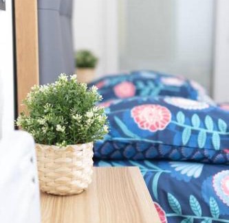 Castres Apartment | Grand T1 bis calme et confortable 2