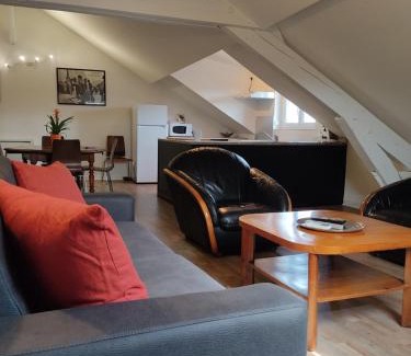 Perigueux Apartment | Grand T2 climatisé très calme
