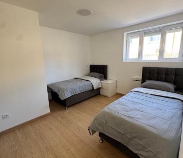 Saint-Priest Apartment | Grand T2 rénové Cœur de St-Priest Avec Parking