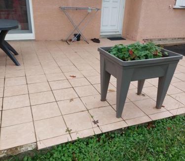 Salies-de-Bearn Apartment | Grande maison sur 2000m° de terrain