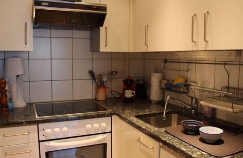Moleson Apartment | Grande-Ourse 2 pièces 1027 by Interhome
