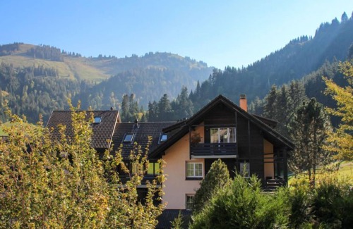 Moleson Apartment | Grande-Ourse 2 pièces 1027 by Interhome
