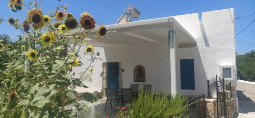 Lagoudi Zia House | Grandpa's place