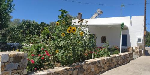 Lagoudi Zia House | Grandpa's place