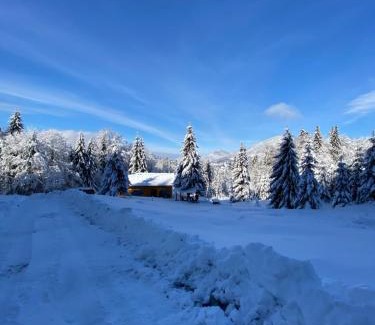 Bistrita Bargaului Ski Chalet | Granero Colibita