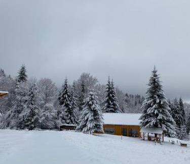 Bistrita Bargaului Ski Chalet | Granero Colibita