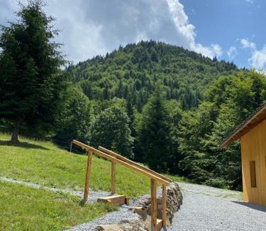 Bistrita Bargaului Ski Chalet | Granero Colibita