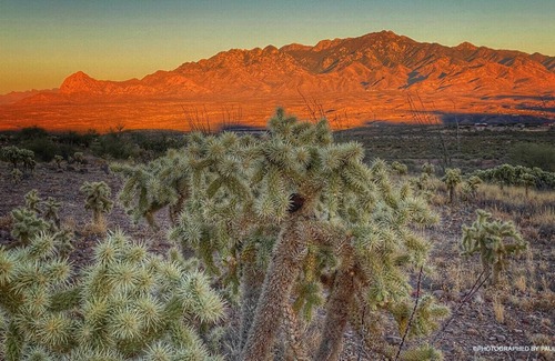 Tumacacori Condo | Great condo for exploring Tubac & surroundings!