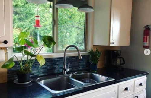 Brinnon House | Great Deck, Fun House with Views of Hood Canal