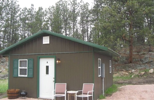 Custer Cabin | Great Quiet Location! Close to all the Attractions.