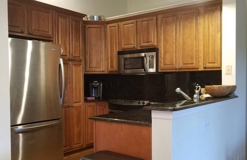 Harbour Island Condo | Great snowbird retreat on Harbour Island/Tampa!