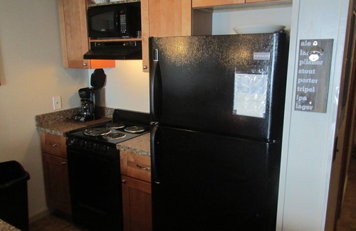 Snowshoe Condo | Great Views! AC Ski In Ski Out! Fireplace! Best Deal on the Mountain! Hot Tubs