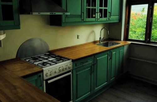 Aalborg Midtby Condo | Green Brook Suite in Central Aalborg