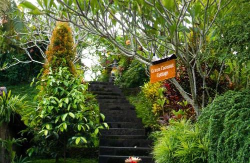 Mas House | Green Coconut Cottage