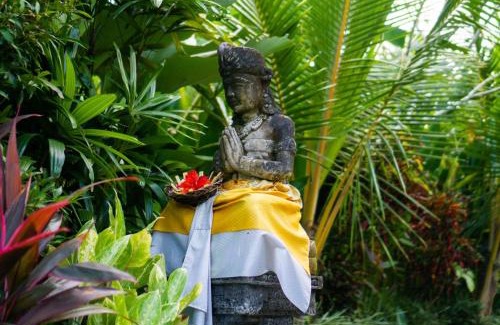 Mas House | Green Coconut Cottage