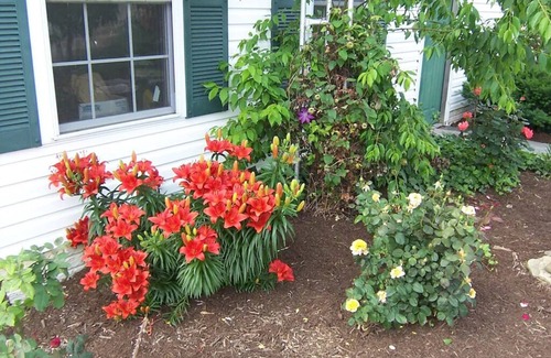 Odon House | Green Gables B&B sleeps 24, 6 bdrms 8 beds 5 1/2 baths 2-Full ktch din lvng rms