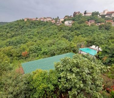 Sighnaghi House | Green House - მწვანე სახლი