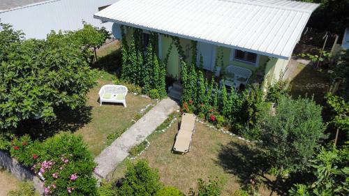 Zgrade House | Green House and garden