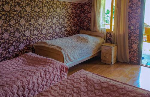Mestia House | Green House Nakra
