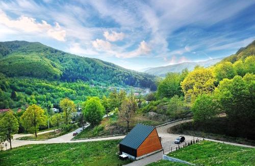 Slanic-Moldova Other | Green Kub