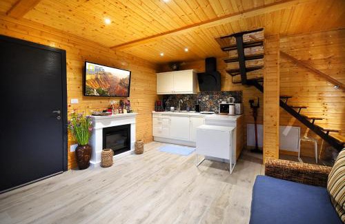 Slanic-Moldova Other | Green Kub