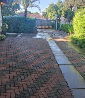 Mahikeng Apartment | Green leaves