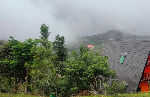 Peermade Apartment | GREEN LUSH