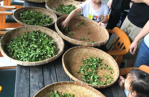 Dongshan House | Green Ozland B&B