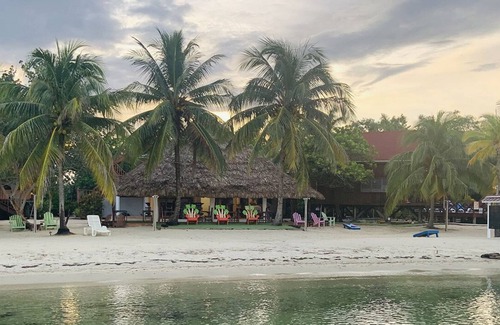 Placencia Hotel | Green Parrot Belize