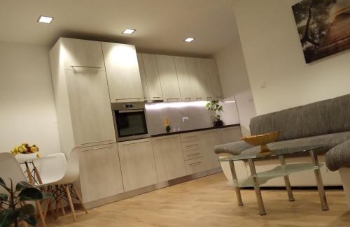 Radanovici Apartment | Green Side