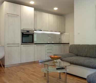 Radanovici Apartment | Green Side