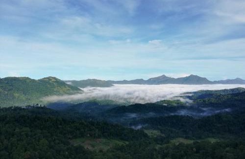 Ukuwela Resort | Green View Holiday Resort
