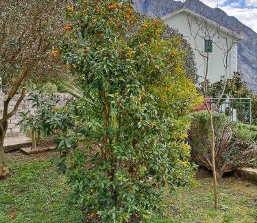 Orahovac Apartment | GREEN VILLAGE Apartment