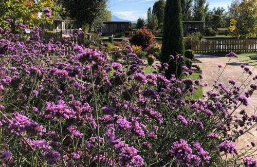 Savigliano House | Green Village - Sirenetta