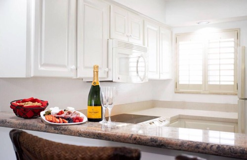 Wesley Chapel Apartment | Greens & Courts Getaway | Serene Group Spot in FL
