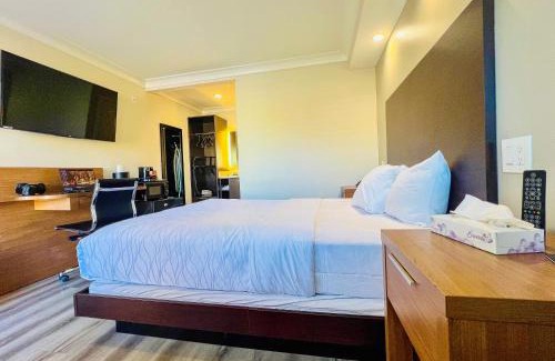 Cow Hollow Hotel | Greenwich Inn