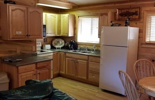 Greer Cabin | Greer Pines Cabin Secluded Cabin on an Acre
