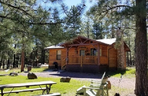 Greer Cabin | Greer Pines Cabin Secluded Cabin on an Acre