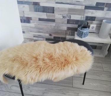 Tirgu Mures Apartment | Grey Residence Apartament