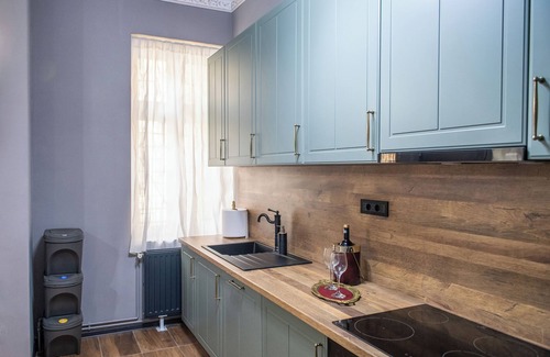 Timisoara Apartment | Grey Symphony - Charming vintage apartment with AC in downtown of Timisoara