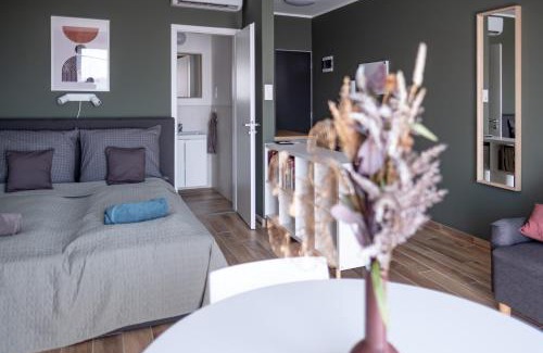Pecs Apartment | Griff 1. apartman Pécs