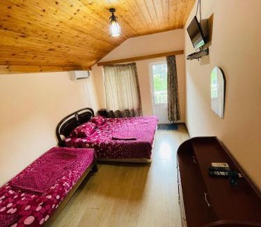 Maltakva House | Grigoleti Cozy House