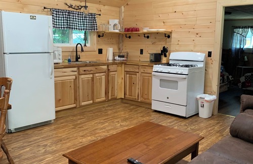 Inlet Cabin | Grizzly Cabin at The Bears Cottages in Inlet