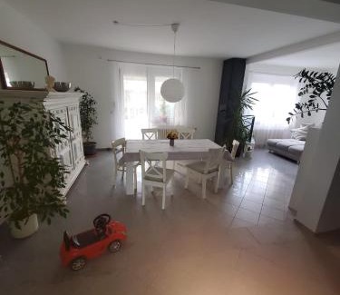 Lahr Apartment | Große 3 Zi Wohnung auf der Pferde Farm