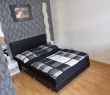 Marienthal West Apartment | Große 4 Zimmerwohnung Zwickau
