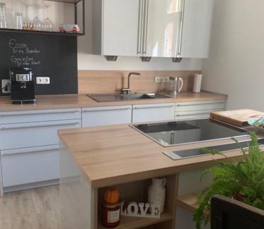 Neustadt am Kulm Apartment | Große Ferienwohnung in einer Villa im Grünen