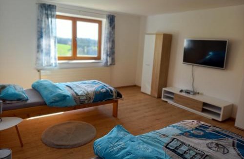 Hinterschmiding Apartment | Große Ferienwohnung im EG