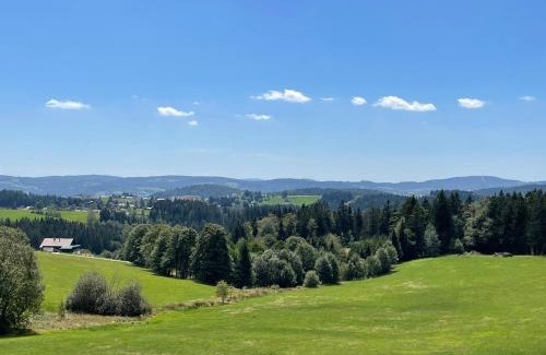 Neureichenau Apartment | Große Ferienwohnung Hundertwasser am Dreisessel in Altreichenau