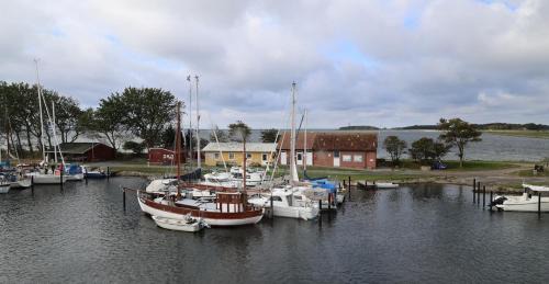 Orth Apartment | Großes Piratennest - Am Meer